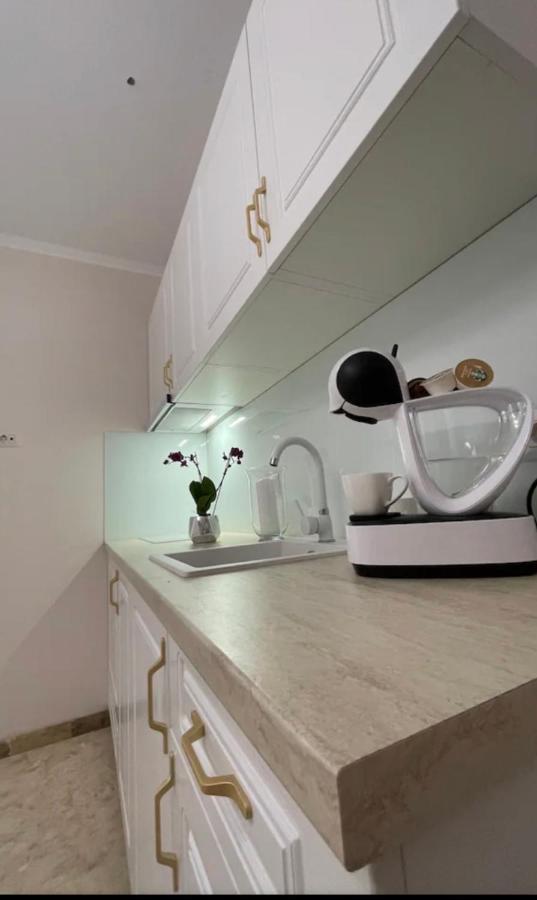 Apartamente Cu Un Dormitor Timişoara Eksteriør billede